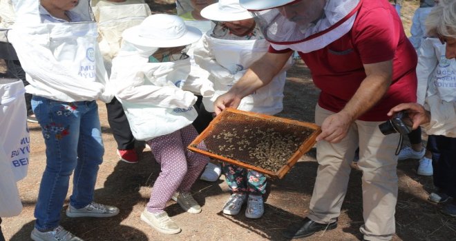 Saburhaneli Çocuklara Arıcılık Eğitimi