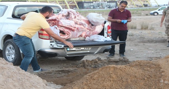 Antalyada Otomobilde 350 Kilo Et Ele Geçirildi