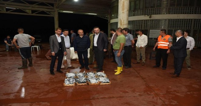 Aktaştan Balık Haline Ziyaret