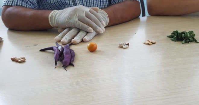 Doğru Beslenmeyle İnsan Ömrünün 175 Yıla Uzayabileceği İddiası