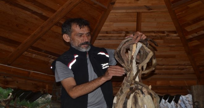 Doğada Görevini Tamamlayan Ağaçlarla Sanat Yapıyor