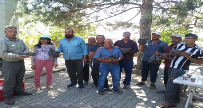 Kene İle Mücadele İçin Köylülere Beç Tavuğu Dağıtıldı