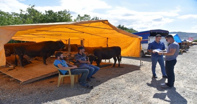 Giresun Belediyesinden Kurban Pazarı