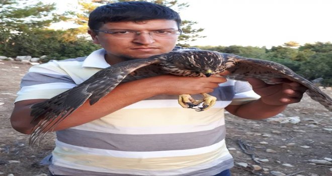 Öldürülmekten Kurtardığı Doğanı Doğaya Saldı