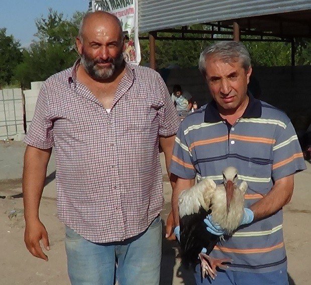 Kangren Olan Leylek Tedavi Altına Alındı