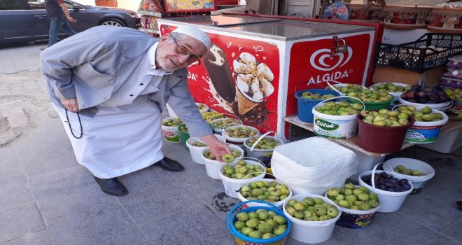 Kızıltepede Yetişen Doğal İncir Tezgahtaki Yerini Aldı