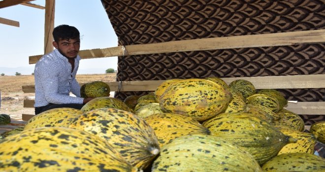 Muşta Pazar Sıkıntısı