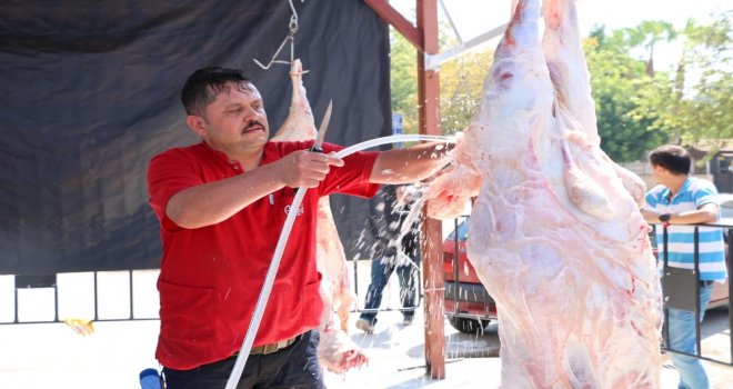 Büyükşehirden Ücretsiz Kurban Kesimi