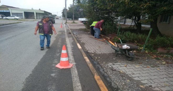 Kilitli Parke Taşı Ve Kaldırım Çalışmamız Devam Ediyor