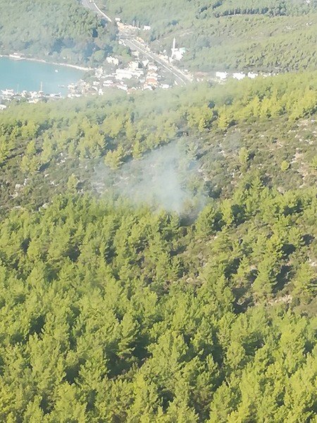 Milasta Orman Yangını Kısa Sürede Söndürüldü