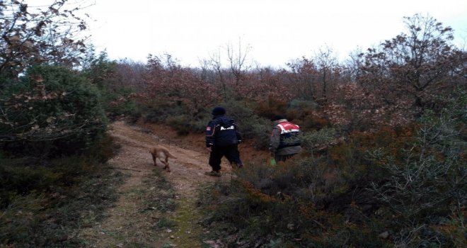 Çanda Mantar Toplarken  Kaybolan Yaşlı Kadın Bulundu