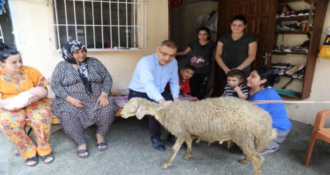 Kurbanlıklar Başkan Çelikcandan