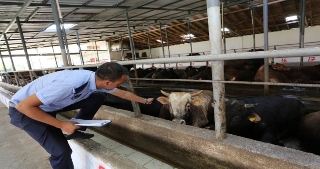 Serdivanda Kurban Satış Ve Kesim Yerlerini Denetlendi