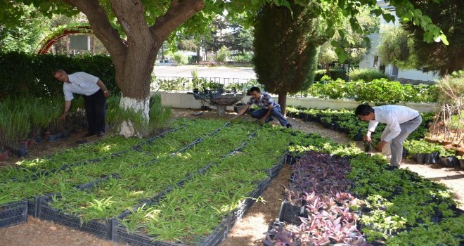 Büyükşehirden Mezarlıklara Yoğun Bakım