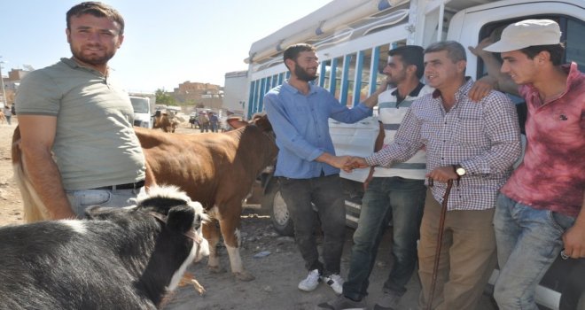 Kurbanlıklar Pazardaki Yerini Aldı
