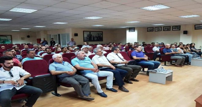 Pamuk Sökede Masaya Yatırıldı