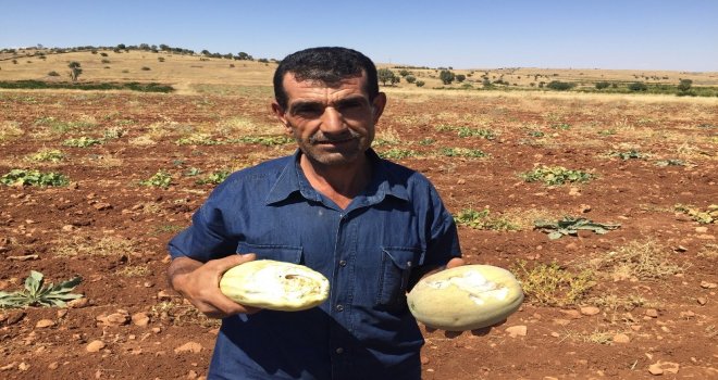 İtfaiye Ekipleri Kayıp Dananın Peşinde