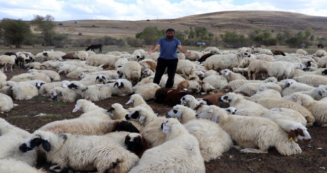 Yayla Sezonunda Sona Gelindi