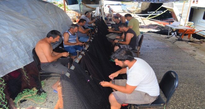 (Özel) Balıkçılardan Müjde, Denizde Bu Yıl Balık Çok