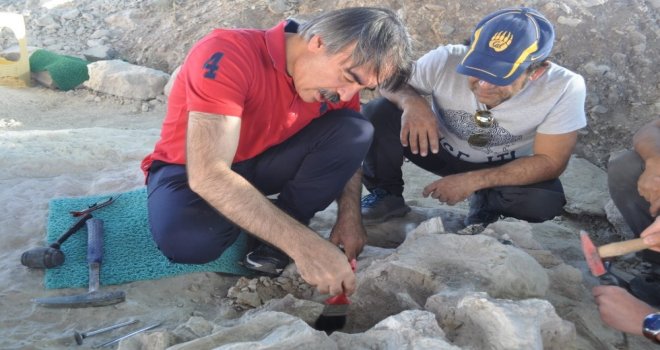Nevü Rektörü Bağlı, Fosil Lokalitesi Kazısını Ziyaret Etti