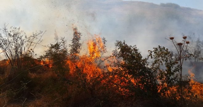 Bahçe Yangınında Bir Çok Ağaç Zarar Gördü