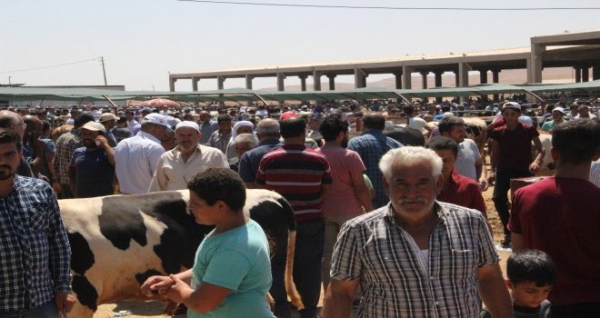 Hayvan Pazarında Arefe Yoğunluğu