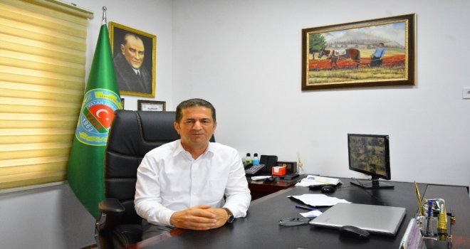 Limon Fiyatları Aldı Başını Gidiyor