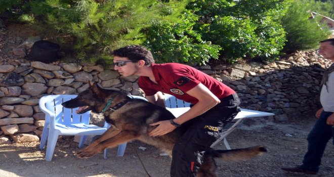 Hatayda Kaybolan Küçük Ufuk Özel Köpeklerle Aranıyor