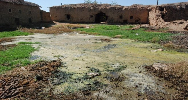 Yazın Ortasında Kışı Yaşıyorlar