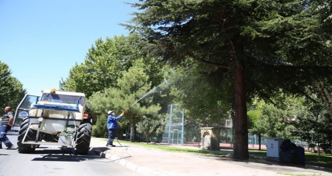 Melikgazide Ağaç Ve Parklarda Sürekli İlaçlama