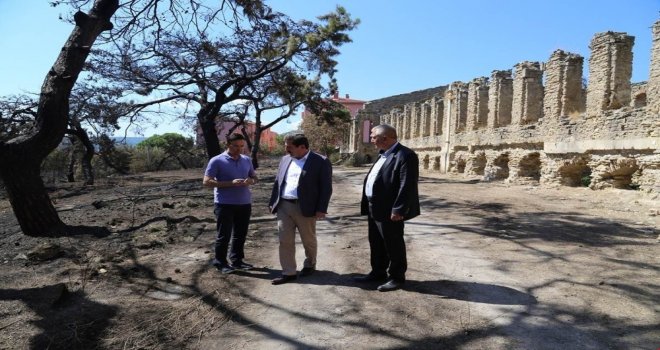 Vali Tavlı, Yangın Alanında İncelemelerde Bulundu