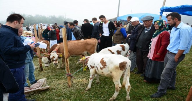 Başkan, Hemşehrilerini Şenliğe Davet Etti