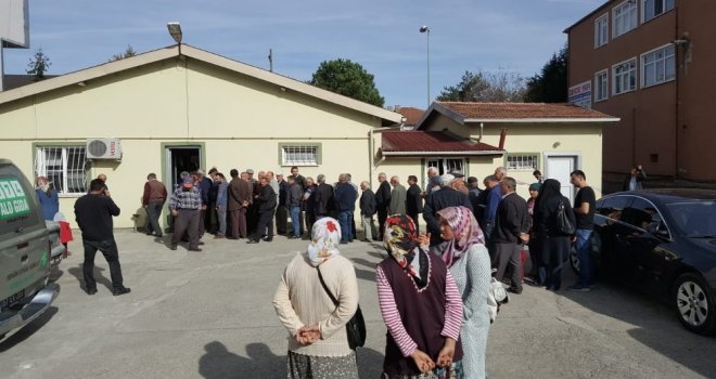 Çaycumada Çiftçilere 70 Ton Buğday Tohumluğu Dağıtıldı