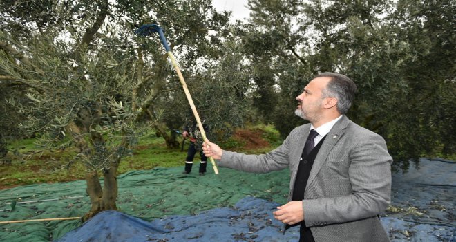 Başkan Aktaşla Hasat Zamanı