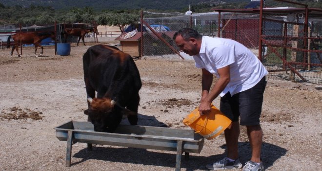 Haluk Levent Dana Ferdinandı Ziyaret Etti