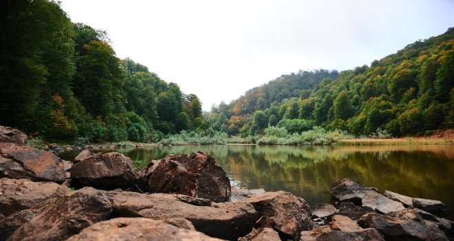 Gölün Çevresinden Bir Kamyon Çöp Çıktı
