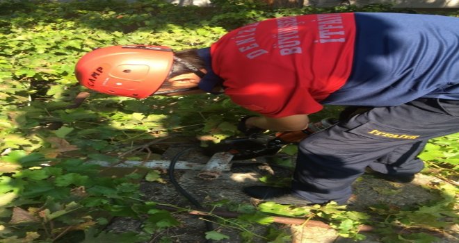 Kafası Boruya Sıkışan Kediyi İtfaiye Kurtardı