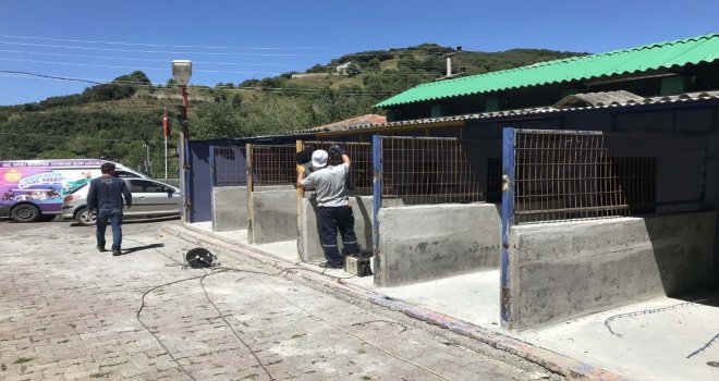 Sokak Hayvanları Rehabilitasyon Ve Bakım Merkezi Yenileniyor