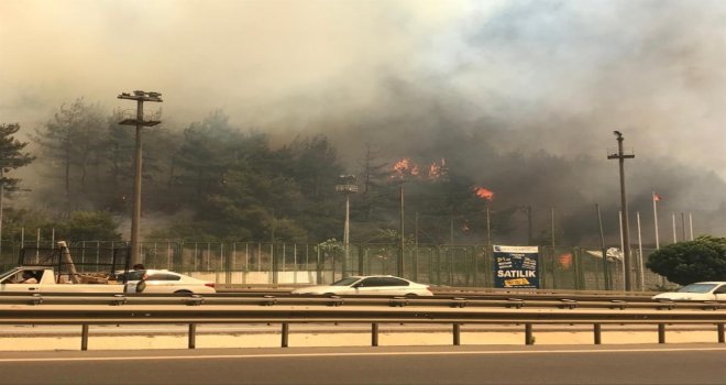 Bursadaki Yangını Söndürmek İçin Balıkesir Ve Karabükten Helikopter, Ankaradan Uçak İstendi