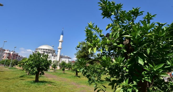 Kepeze Anadolu Bahçesi