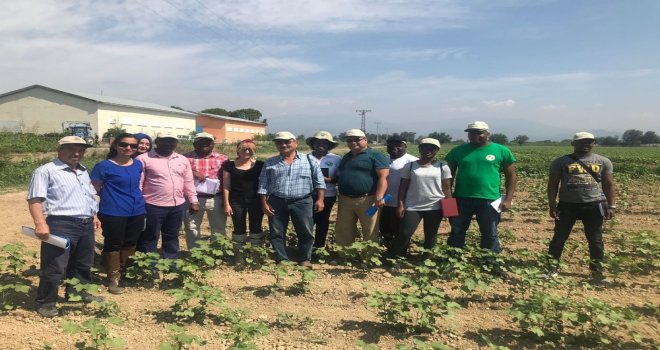 Tikadan Mozambike Pamukçuluk Alanında Eğitim Desteği