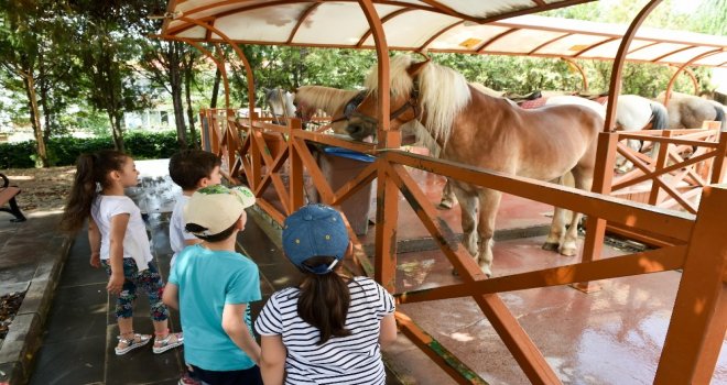 Altınparkta Midilli Keyfi