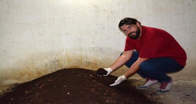 Sökede Genç Girişimci Evinin Bodrumunda Solucan Gübresi Üretiyor