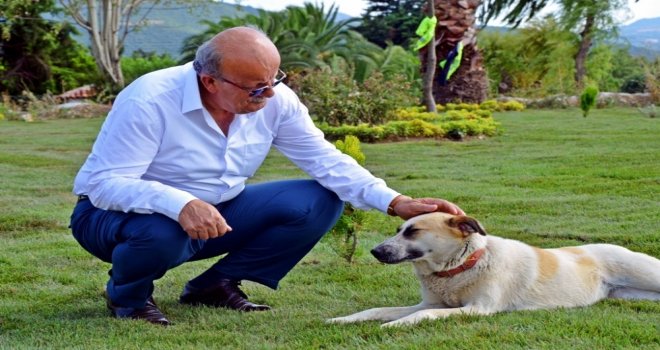 İznik Sahili Botanik Bahçesini Andırıyor