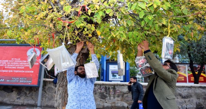 (Özel) Ağaç Dalları Kitap Açtı