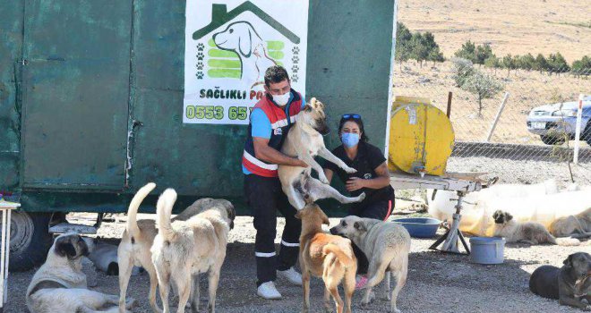 BÜYÜKŞEHİR CAN DOSTLARA DESTEK OLMAYA DEVAM EDİYOR