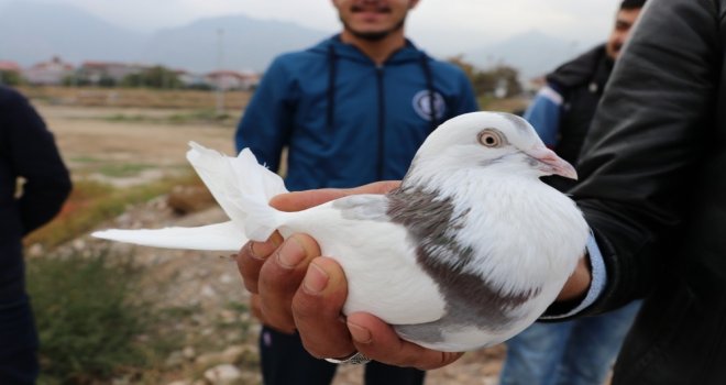 Güvercinler Dostluk İçin Gökyüzüne Salındı