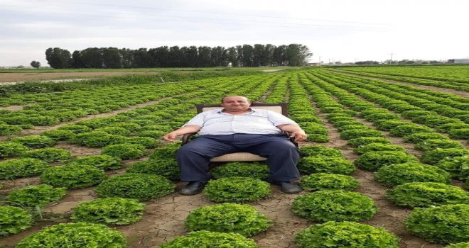 Marul Üreticisinden Dikkat Çeken Eylem