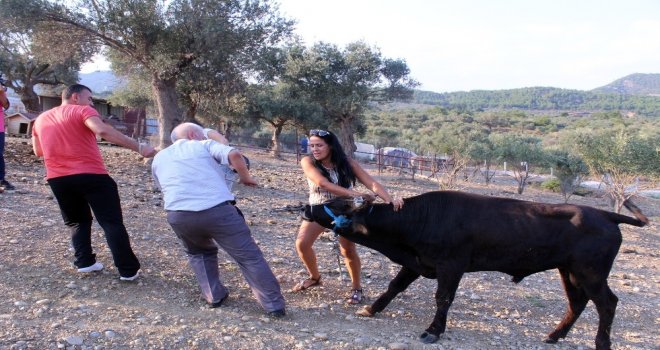 Dana Ferdinand ‘Huzur Çiftliğinde