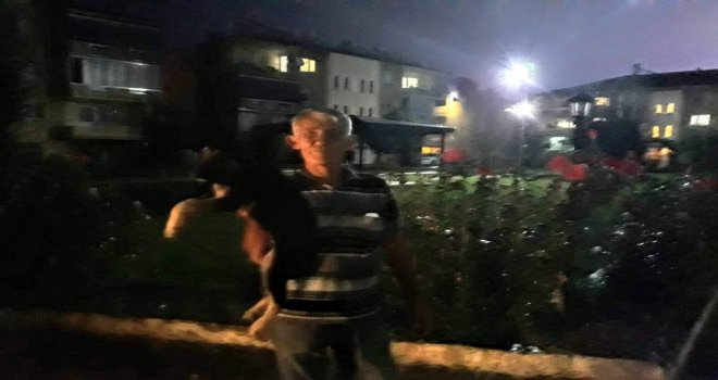 Yağmurda Kalan Yavru Köpeği Barınağa Aldılar